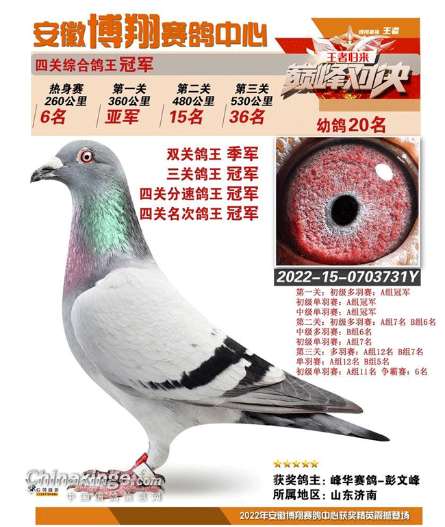 瑞典篮球锦标赛冠军揭晓，实力球队夺冠